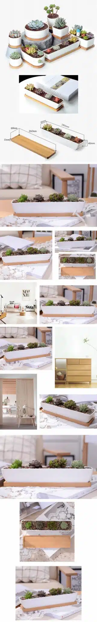 1 Set Minimalist Geometry White Ceramic Succulent Plant Pot Bonsai Planter Porcelain Flower Pot Home Decor(1 Pot + 1 Stand) 9