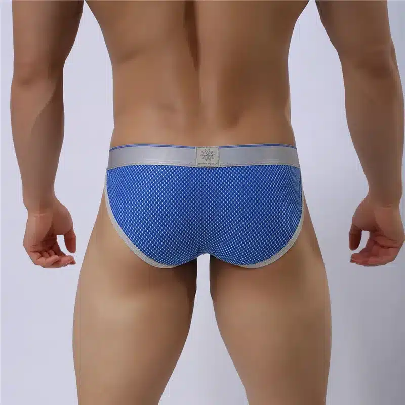 BRAVE PERSON Brand Male Underwear Men Briefs New Arrivals Men's Sexy Underpants Low-waist Nylon Sexy Underwear Briefs For Man 12
