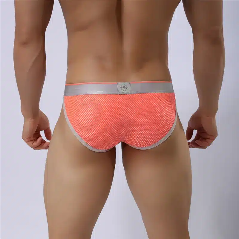 BRAVE PERSON Brand Male Underwear Men Briefs New Arrivals Men's Sexy Underpants Low-waist Nylon Sexy Underwear Briefs For Man 18