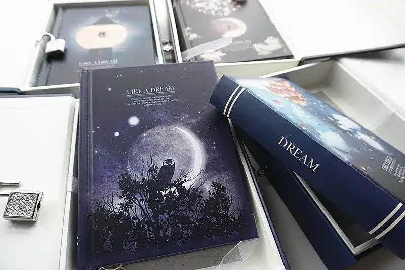 "Like a Dream" Diary with Lock Notebook Cute Functional Planner Lock Book Dairy Journal Stationery Gift Box Package 17