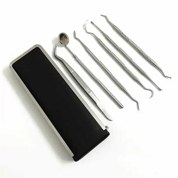 6 Pcs/Set Dental Tools Stainless Steel Hygiene Explorer Probe Hook Pick Scaler Mirror Tweezer Teeth Clean Kit With Case 6