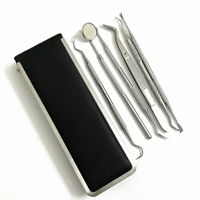 6 Pcs/Set Dental Tools Stainless Steel Hygiene Explorer Probe Hook Pick Scaler Mirror Tweezer Teeth Clean Kit With Case 8