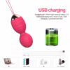 Puldiga juhitavad kegeli kuulid | E-pood Tootemaailm Roosa USB-laetav Kegeli pall laadimiskaabli ja aku ikooniga