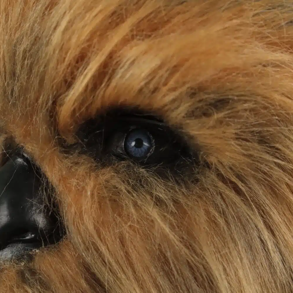 Realistlik Chewbacca mask | kujundav pilt e-kaubamaja pildikogust
