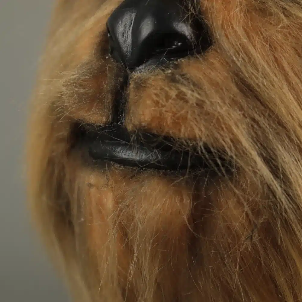 Realistlik Chewbacca mask | kujundav pilt e-kaubamaja pildikogust