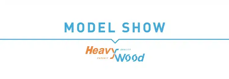 sinise ja oranži logoga tekst model show