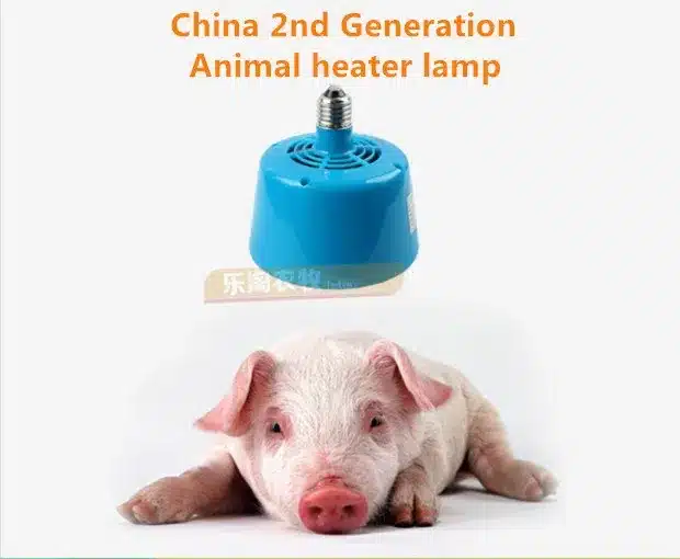 Free shipping Selling models Animal warm light Insulation of chicken Piglets incubator Pets allowed Farm insulation equipment 10