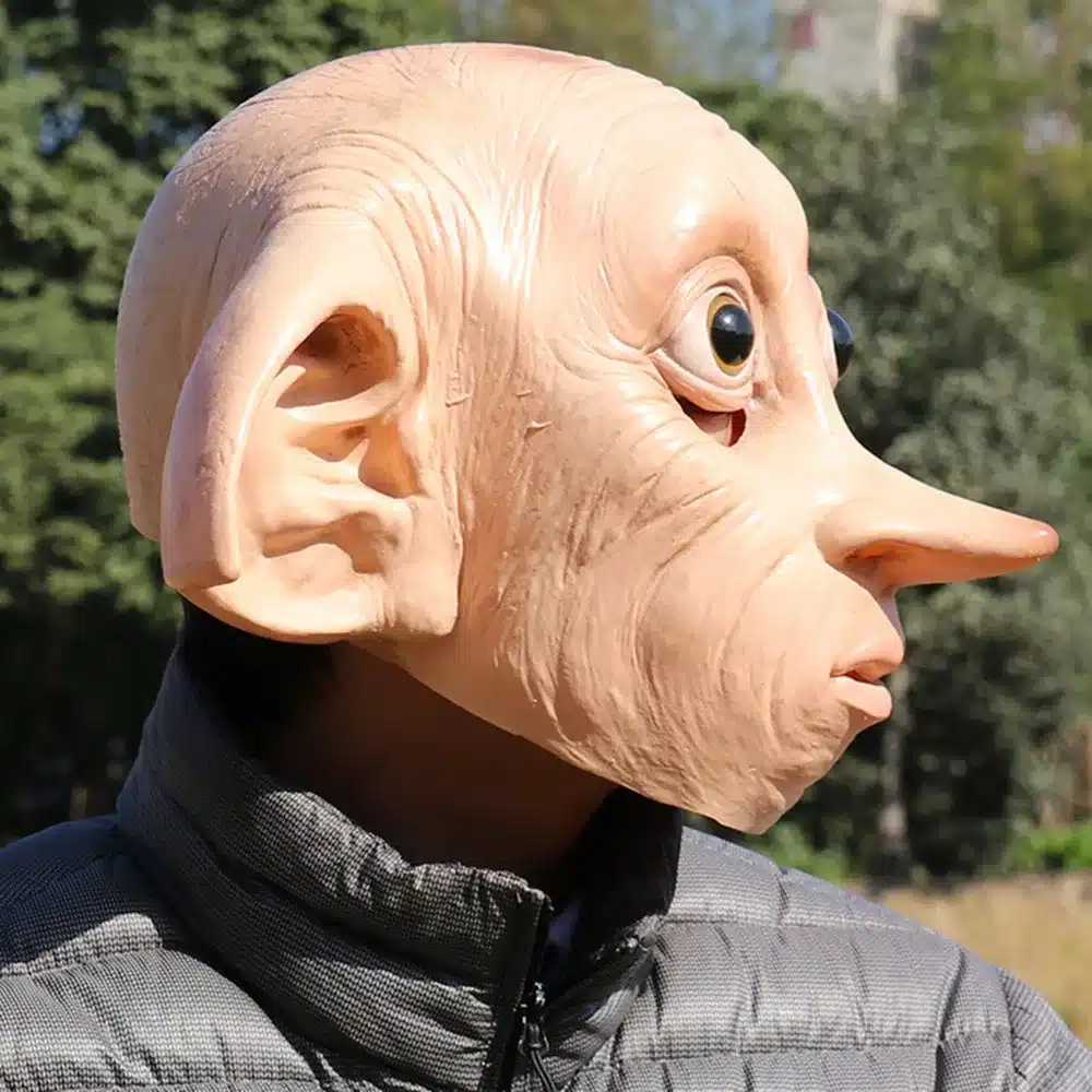 Majahaldjas Dobby mask | kujundav pilt e-kaubamaja pildikogust