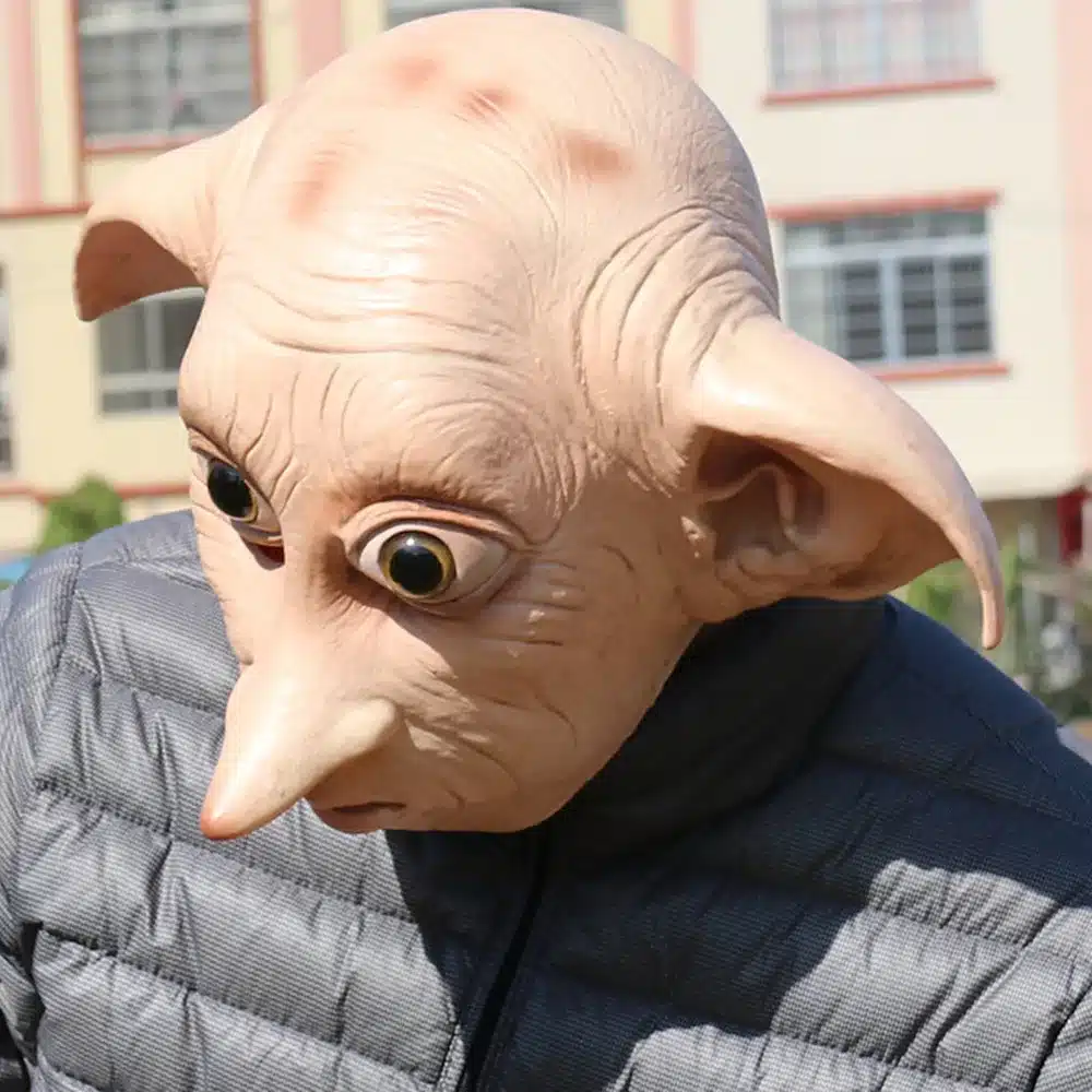 Majahaldjas Dobby mask | kujundav pilt e-kaubamaja pildikogust