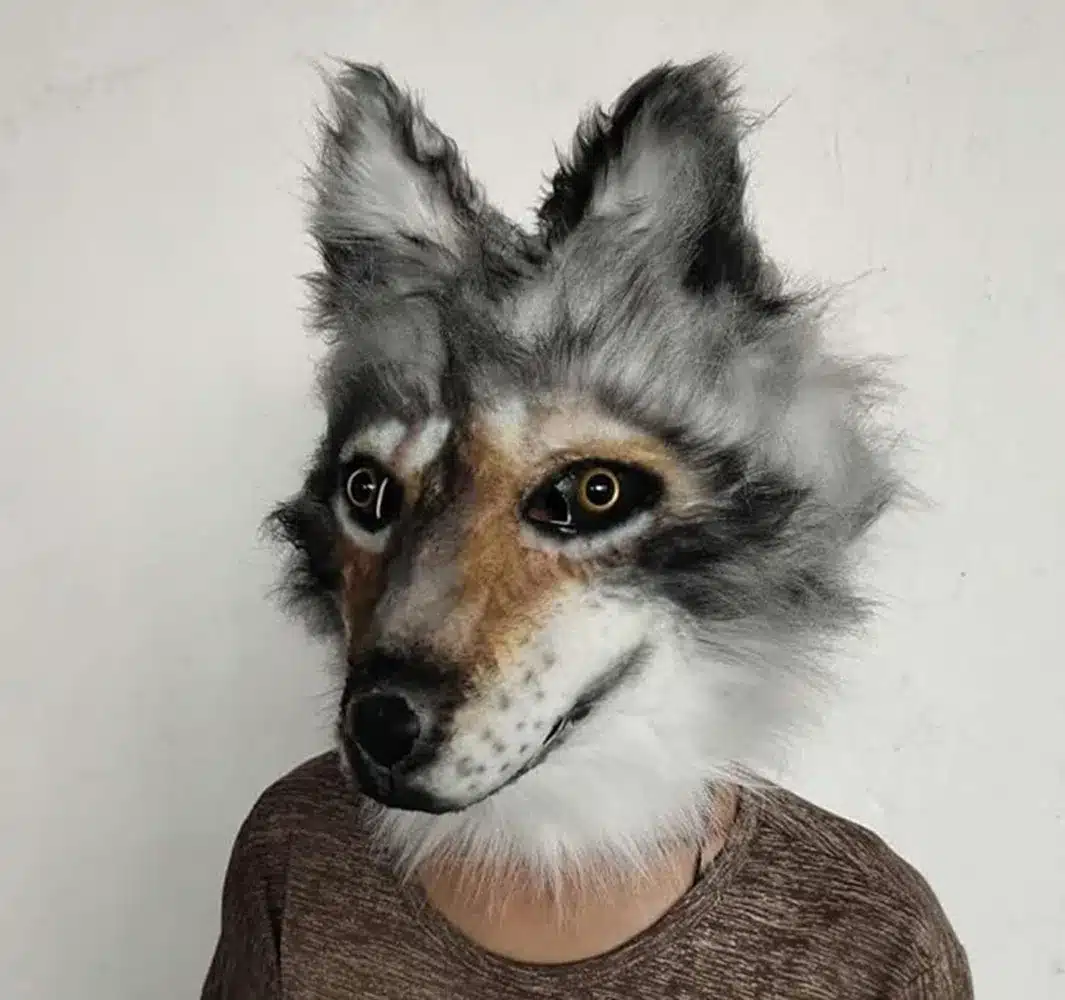 Kvaliteetne karvane hundi mask | kujundav pilt e-kaubamaja pildikogust