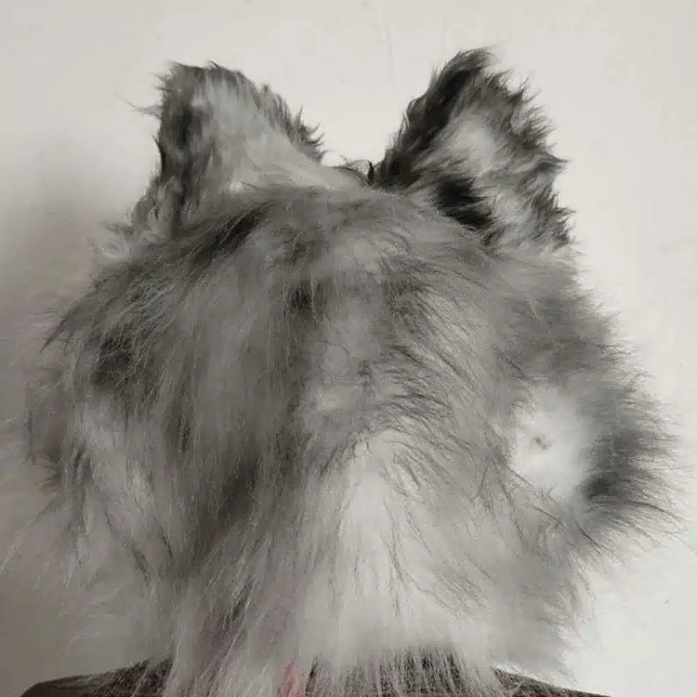 Kvaliteetne karvane hundi mask | kujundav pilt e-kaubamaja pildikogust