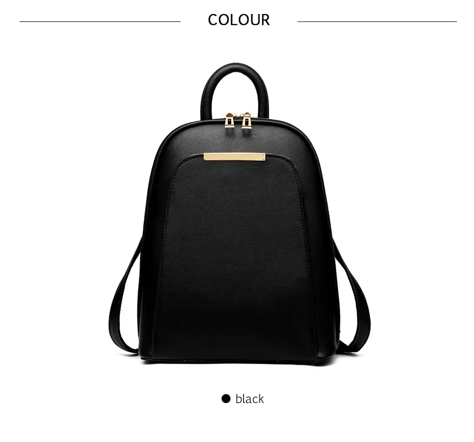 DIZHIGE Brand 2017 Solid High Quality PU Leather Backpack Women Designer School Bags For Teenagers Girls Luxury Women Backpacks 14
