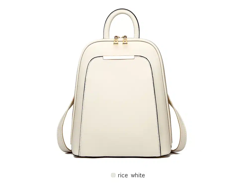 DIZHIGE Brand 2017 Solid High Quality PU Leather Backpack Women Designer School Bags For Teenagers Girls Luxury Women Backpacks 17