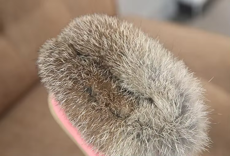 karvase äärega saapa detail