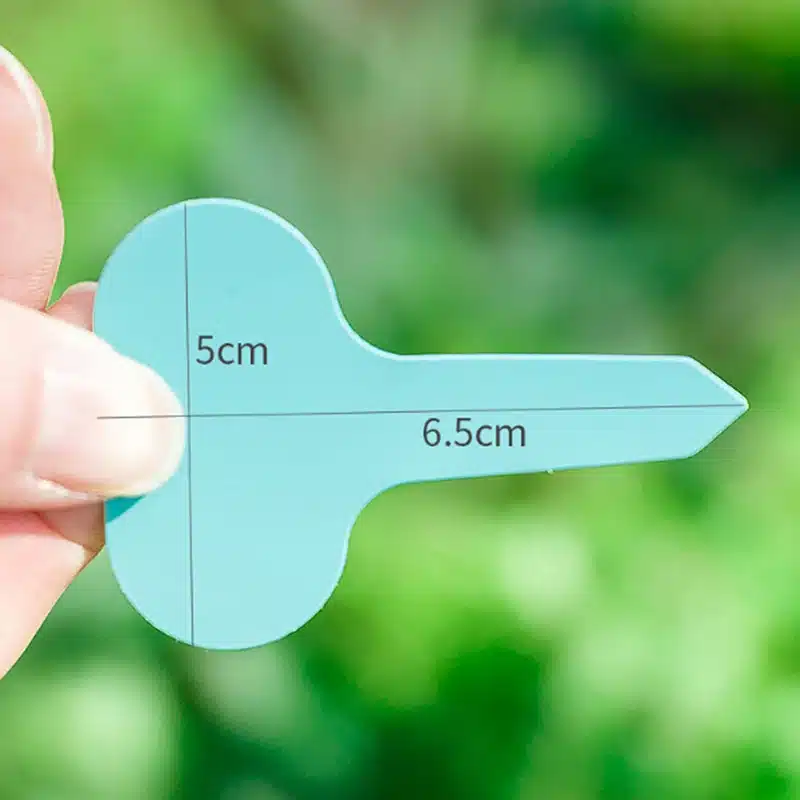 sinine plastist taimesilt mõõtudega 5 cm x 6,5 cm