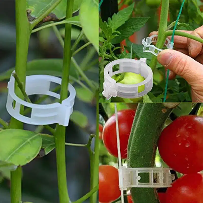 50/100pcs 30mm Plastic Plant Support Clips For Tomato Hanging Trellis Vine Connects Plants Greenhouse Vegetables Garden Ornament 1