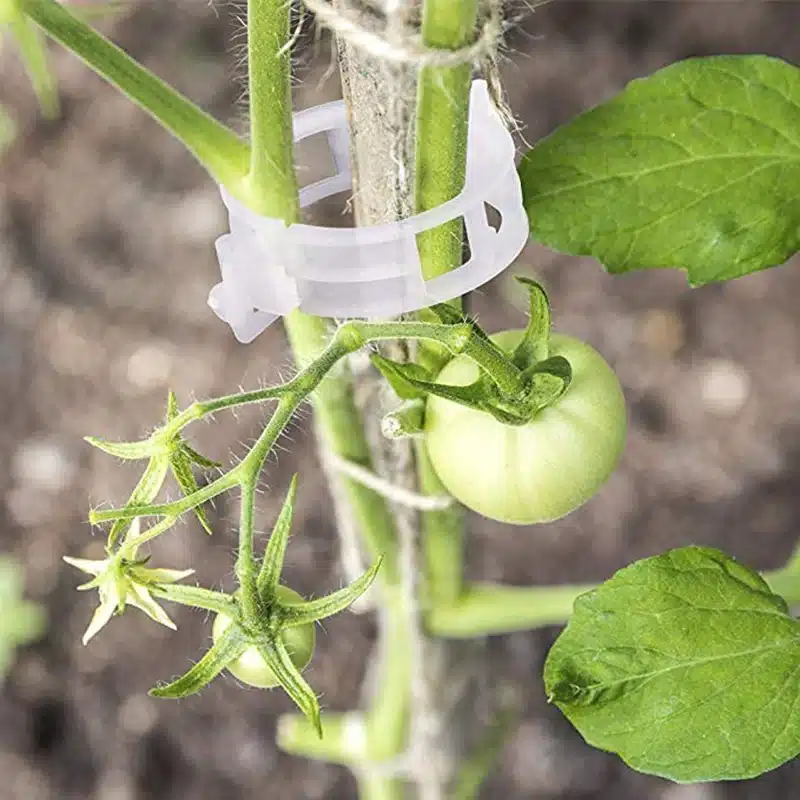 50/100pcs 30mm Plastic Plant Support Clips For Tomato Hanging Trellis Vine Connects Plants Greenhouse Vegetables Garden Ornament 5