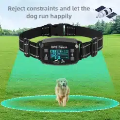 must GPS-seadmega koerarihm rohelisel murul