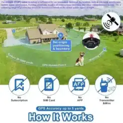 nutikas GPS-piire koertele, mis kuvab virtuaalset ala ja hoiatustooni