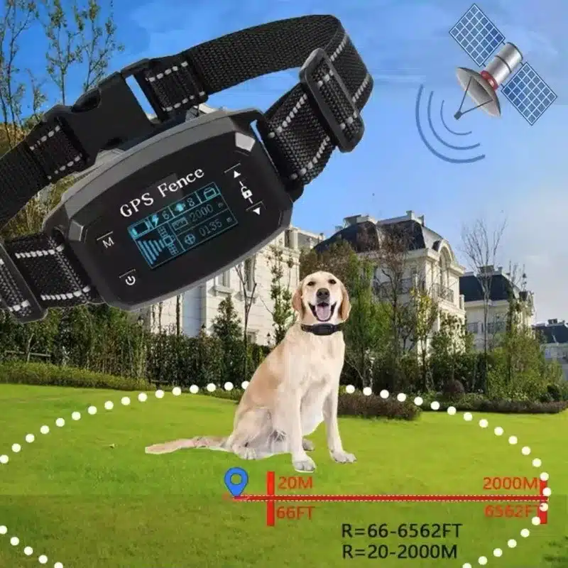 Nutikas GPS elektrooniline piire ja treeningrihm koertele | kujundav pilt e-kaubamaja pildikogust