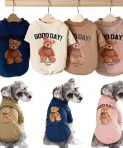 neli erinevat värvi koerte dressipluusi, millel on karu pilt ja kiri 'Good Day'