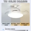 valge laelamp ventilaatoriga ja reguleeritava valgusega