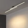 piklik minimalistlik led valgusti laes