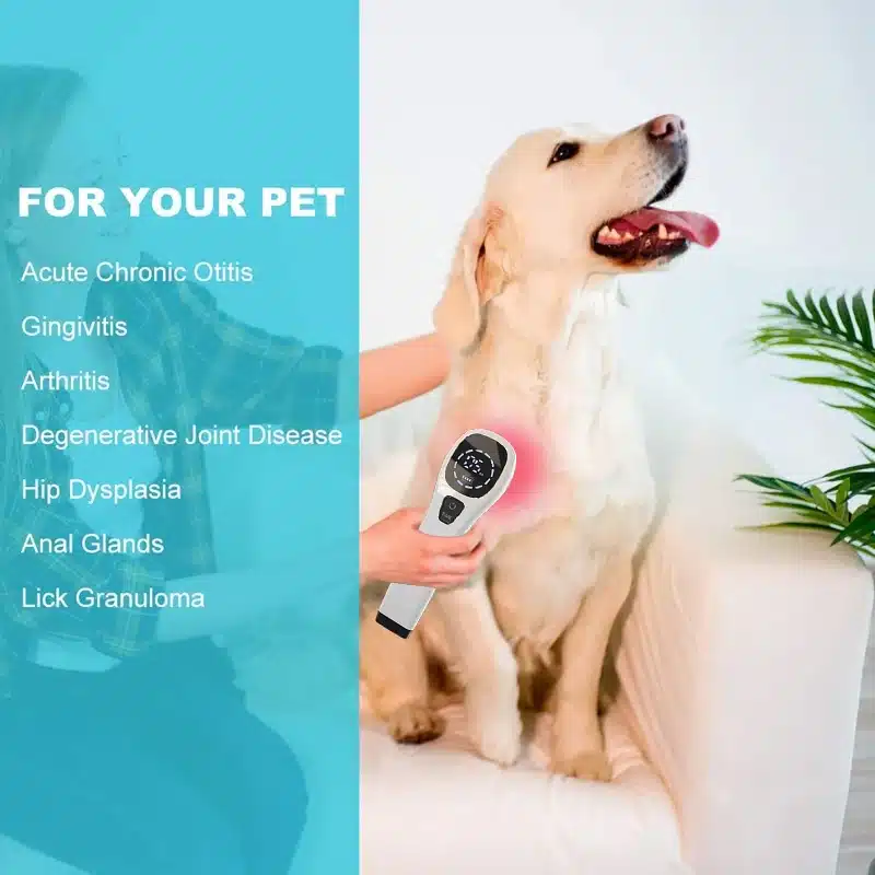 Naine kasutab Kodust füsioteraapia seadet, et leevendada artriidi sümptomeid suurel valgel koeral, istudes kaasaegses interjööris valgel diivanil.