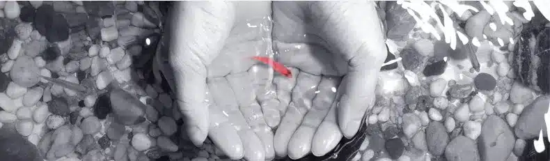 Stiilne vannitoa kraan külma ja sooja veega, musta värvi | kujundav pilt e-kaubamaja pildikogust