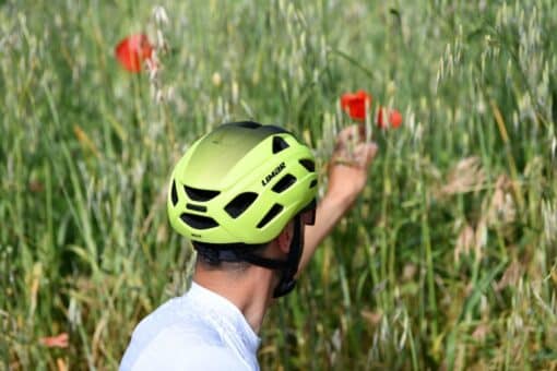 Inimene kannab liivarohelise värvi maanteekiivrit LIMAR Maloja, matt musta-sinise viimistlusega, olles lillede keskel rohelises väljas. Taustal eristuvad punased moonid, pakkudes kontrasti kiivri värviga.
