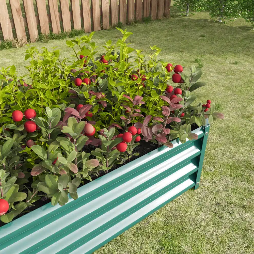 Tõstetud aiapeenar tsingitud terasest, mõõtmetega 120x60x30 cm, täidetud lopsakate roheliste ja punaste taimedega lopsakal murul, taustal puidust tara.