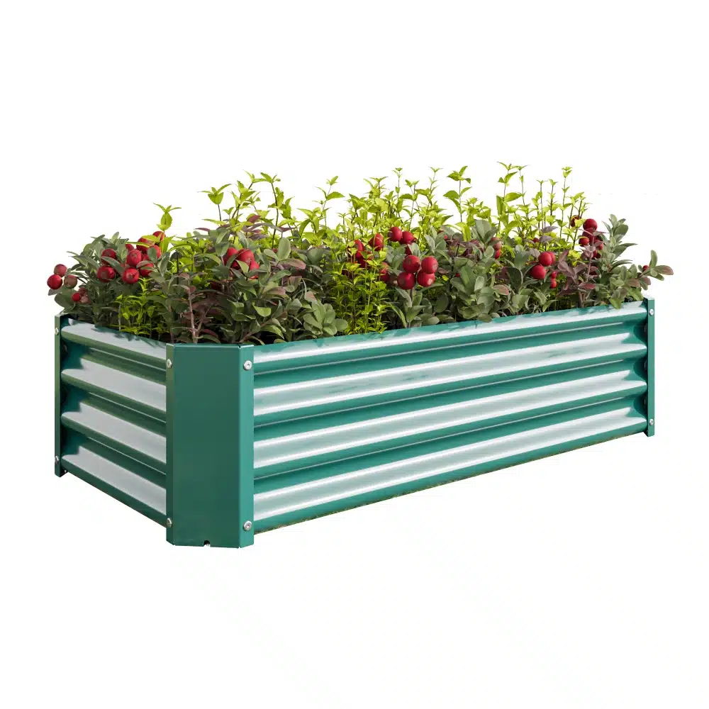 Roheline tõstetud aiapeenar tsingitud terasest mõõtmetega 120x60x30 cm, täidetud lopsakate roheliste ja punaste taimedega, paigutatud valgele taustale.