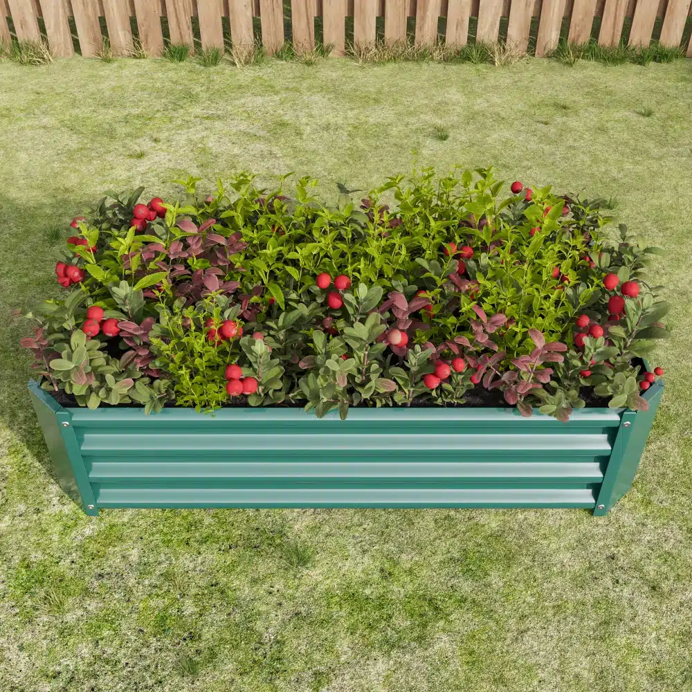 Roheline tõstetud aiapeenar tsingitud terasest, mõõtudega 120x60x30 cm, täidetud lopsakate taimede ja punaste marjadega, asetatud muru taustal puidust aia ees.