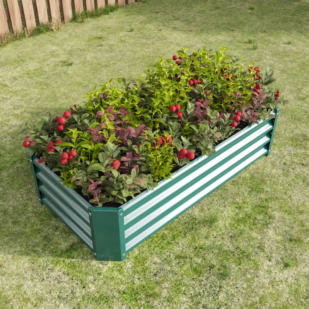 Tõstetud aiapeenar tsingitud terasest mõõtmetega 120x60x30 cm, täis kauneid rohelisi ja punaseid taimi, paigutatud rohelisele murualale puidust aia taustal.