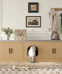 Stiilne esikukapp, naturaalsest puidust, kassimaja kraapimispostiga ja ventilatsiooniga, asetatud elegantse elutoa taustale, kaks kassi nauditavalt kapi peal ja sees.