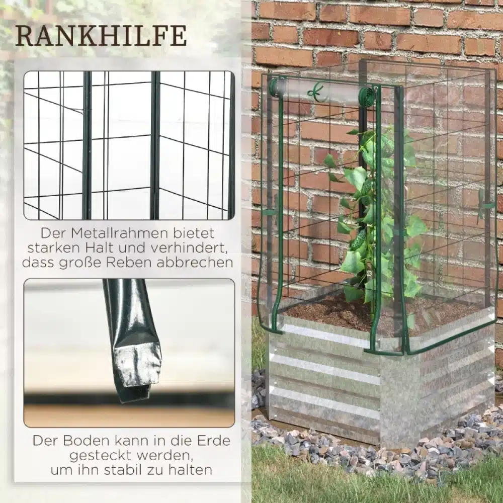 Kastpeenar taimekasvatuseks plastikust katte ja trellisega telliskiviseina taustal. Roheline taim kasvab läbipaistva katte all, mida toetab musta metalli trellis, hoides taime püsti ja kaitstes tuule eest.