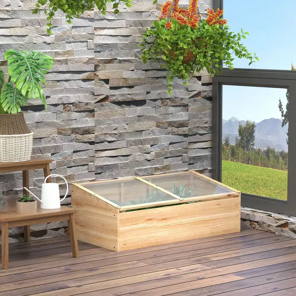 Kuusepuust kasvuhoone külmlava mõõtmetega 100x50x35 cm, kaetud läbipaistva PC kattega, asetatud puidust terrassile kiviimitatsiooniga seina taustal. Ümberringi on rohelised rippuvad taimed ja päikeseline vaade aknast.