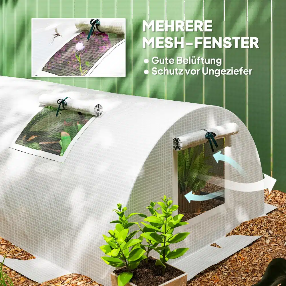 Valge kasvuhoone minitunnel UV-kaitsega, 4 aknaga, suuruses 300x80x45 cm, aiapeenra kõrval, taimed sees, taustal roheline taraga sein.