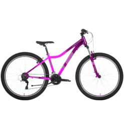 Roosa ja lilla hardtail-tüüpi jalgratas mustadel rehvidel, külgvaates