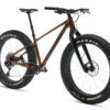 Pruuni raamiga fatbike laiade Maxxis rehvide, ketaspidurite ja esiamordita esitusega
