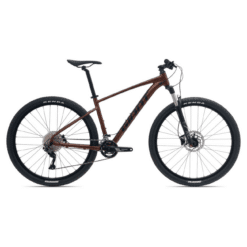 Pruun hardtail-tüüpi maastikuratas musta kahvli ja ketaspiduritega, valgel taustal.