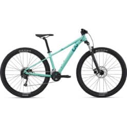 Mürtsinine maastikuratas, fatbike-stiilis laiade rehvide ja esiamordiga