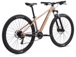 Hõbedakarva hardtail-mägijalgratas, Maxxis rehvide ja esiamordiga