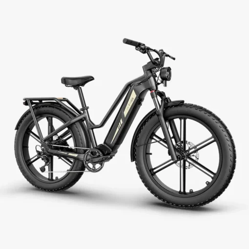 Elektrijalgratas Fiido Titan hall 26-tolline | E-pood Tootemaailm Must elektriline fatbike paksude rehvide, ketiajamiga ja esi- ning tagaraamiga.