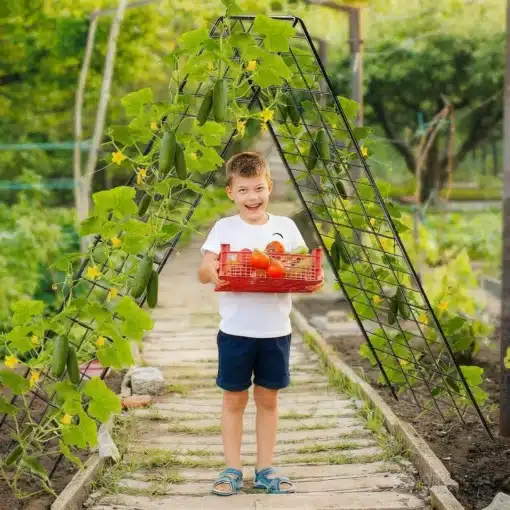 A-kujuline taimetugi ronitaimedele 2 tk | E-pood Tootemaailm Poiss hoiab kasvuhoones punast korvi tomatitega köögiviljade vahel
