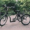 Kolmerattaline elektrijalgratas AMLADCYKLER Tricycle | E-pood Tootemaailm Must kolme rattaga kolmerattaline jalgratas sillal rohelises pargis