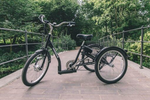 Kolmerattaline elektrijalgratas AMLADCYKLER Tricycle | E-pood Tootemaailm Must kolme rattaga kolmerattaline jalgratas sillal rohelises pargis