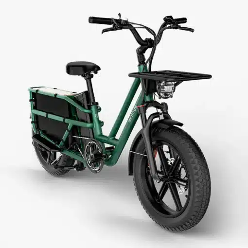Elektriline kargoratas FIIDO T2 Longtail Cargo, Forest Green | E-pood Tootemaailm Roheline elektrijalgratas pakiraamiga, ees korv ja paksud rehvid, stuudiotaustal