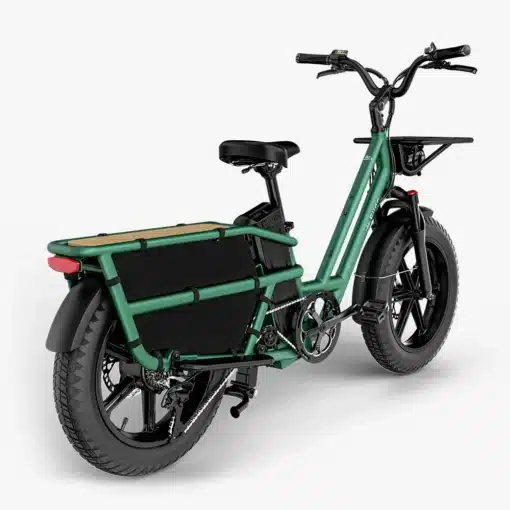 Elektriline kargoratas FIIDO T2 Longtail Cargo, Forest Green | E-pood Tootemaailm Roheline elektrijalgratas pakiraamiga, paksude rehvide ja mustade lisatarvikutega