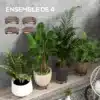 Ratastega lillepotialused piduritega 4 tk 30 cm | E-pood Tootemaailm Nelja ratastega ümmarguse taimealuse komplekt suurte toataimede pottide all